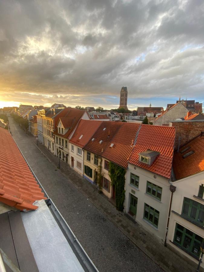 Igel Sjoeborre Wismar